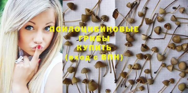 наркотики Абаза