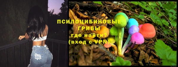 бошки Алзамай