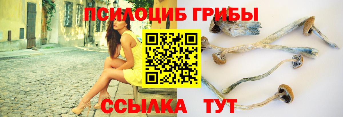Галлюциногенные грибы мицелий Советская Гавань